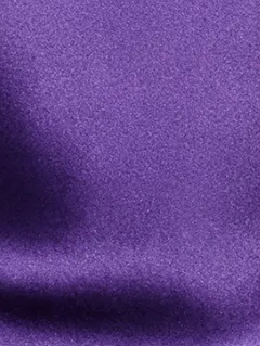 Veya Silk Top