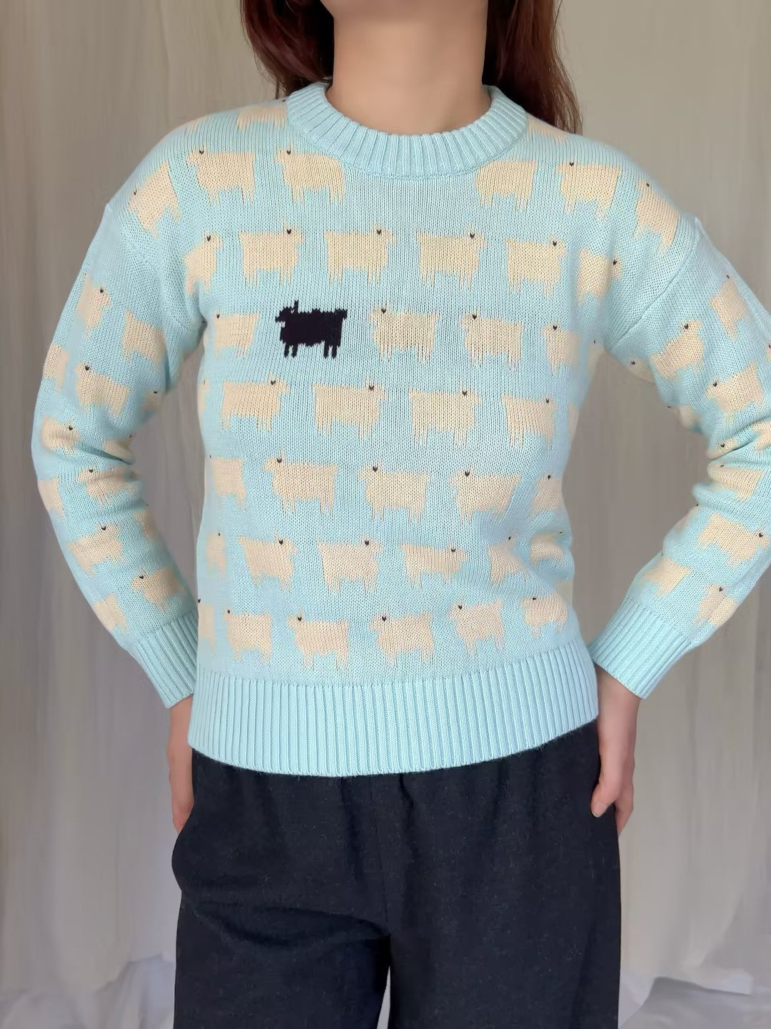 WW Women's Fitted Cotton Line  Sheep Sweater - Blue