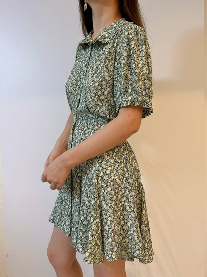 Brixton Silk Dress in Pomme et Poire Floral